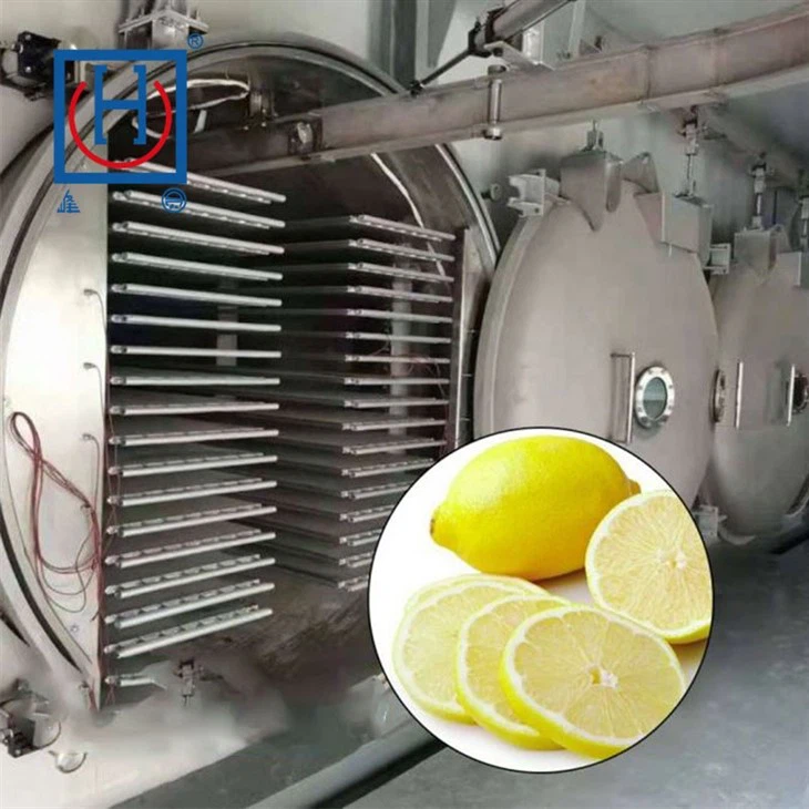 Industrial Vacuum Freeze Dryer